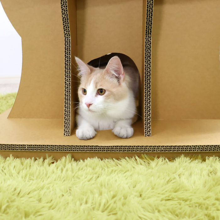 キャットタワー 大型猫 おしゃれ 据え置き ラージ ツリーステップ 猫