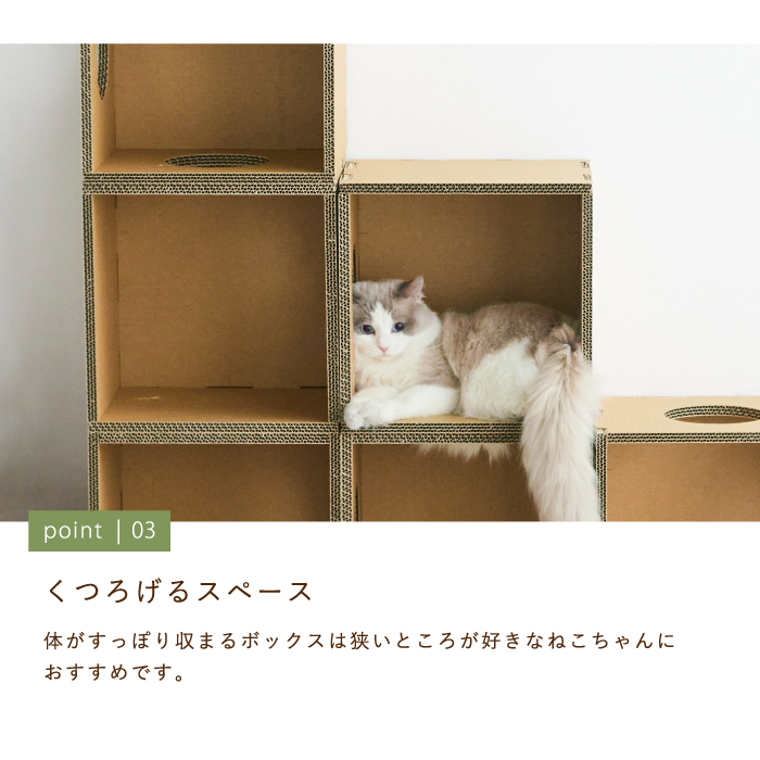 キャットボックス キャットタワー キャットハウス 猫 ペット キャット