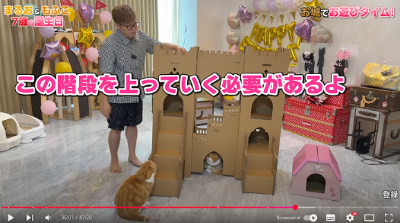 愛猫家のHikakinTVさんの動画イメージ
